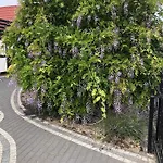 Ostoja Nad Jeziorem * Slawianowo