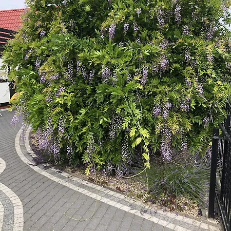 Ostoja Nad Jeziorem Tatil Evi *