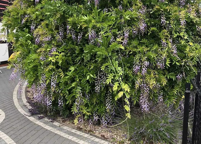 Ostoja Nad Jeziorem * Slawianowo